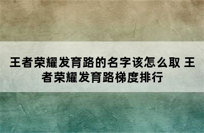 王者荣耀发育路的名字该怎么取 王者荣耀发育路梯度排行